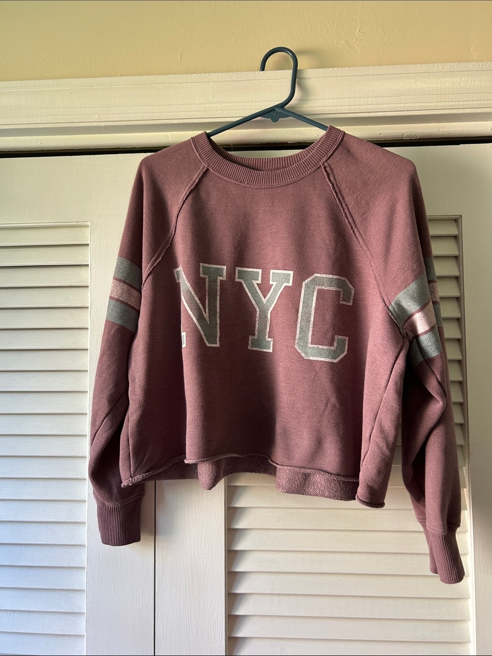 aerie Mauve Crewneck Sweatshirt with NYC Graphic